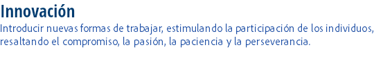 Innovación
Introducir nuevas formas de trabajar, estimulando la participación de los individuos, resaltando el compromiso, la pasión, la paciencia y la perseverancia.
